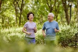 麻将中的决策逻辑（麻将决策思维）