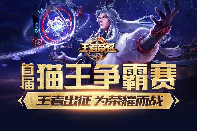 美化的战绩